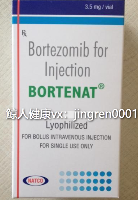 印度仿制版的硼替佐米多钱一盒？